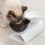 Orthopedic Anti-Vomit Cat Bowl